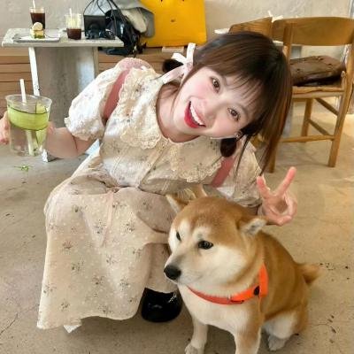 如果历史是一群喵 第二季